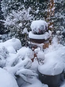 Annelies 04 Ingesneeuwd